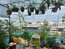Hình ảnh Chủ bán nhà 52m2 SHR hẻm 43 Nguyễn Khuyến, P12 Bình Thạnh
