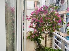 Hình ảnh Bán Nhà KĐT Đạị Kim, Nguyễn Cảnh Dị, 55m, 4 Tầng, MT 5m, Giá 9 Tỷ 500