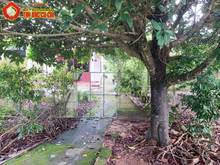 Hình ảnh Bán nhà đường 793 - 633m2 - 8.3x71 nở hậu 10m - 120m2 thổ cư - Củ Chi
