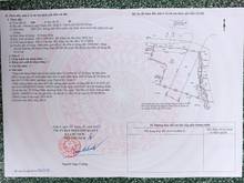 Hình ảnh Bán 4697 m2 đất khu vực Phước Thiện phường Long Trường