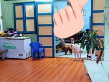 Hình ảnh HXH TNPA_dt khủng 116_8x17 chỉ 7 ty 750 chủ kẹt tiền bán gấp