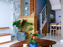 Hình ảnh Hàng hiếm!Bán nhà giá rẻ HXH Hồ Biểu Chánh. Giá chỉ 18.5 tỷ, 6x21m G