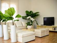 Hình ảnh Định cư nước ngoài cần bán nhà MT Đặng Thị Nhu, Quận 1. DT: 8 x 22,5M.