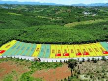 Hình ảnh Bán đất nền Bảo Lộc sổ sẵn, chưa đến 1 tỷ, hỗ trợ vay 60%