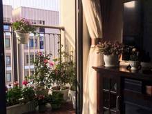 Hình ảnh Bán căn 2PN1WC - VINHOMES OCEAN PARK