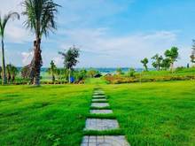 Hình ảnh Đất vườn Lâm San-Cẩm Mỹ-Đồng Nai