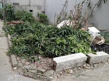 Hình ảnh Bán đất Phú Diễn, Đức Diễn, lô góc 48m2, MT 4.5m, giá 3.18 tỷ
