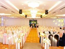 Hình ảnh Tòa nhà hàng, tiệc cưới MT Lũy Bán Bích. 20m x 50m. 2 Hầm, 10 lầu.