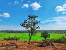 Hình ảnh Chuyển Nhượng Lô View Ruộng Đường Lý Chính Thắng - P.Chi Lăng -Gia Lai