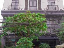Hình ảnh Duplex Quận 7 Full Nội Thất Sang Trọng, Free Phí Quản Lý