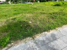 Hình ảnh Chính Chủ Bán GẤP Lô 4x15m Lê Hồng Phong - Bao vay Ngân hàng