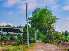 Hình ảnh Tôi cần bán 2 lô đất rộng hơn 2000m2 sát đường 65m
