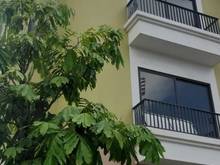 Hình ảnh Bán Lô góc,mặt phố Vũ Lăng,Tứ Hiệp,Thanh Trì 90m2, 4 tầng, Kinh doanh