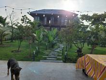Hình ảnh VIP!! Biệt Thự Gỗ Trệt 1 Lầu, View Sông, Hồ Bơi, Nội Thất Châu Âu_12tỷ