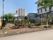 Hình ảnh Chính chủ bán gấp 119m đất khu D1, đất đấu giá 31ha Trâu Quỳ