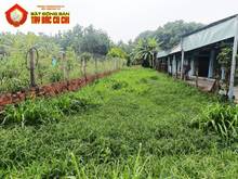 Hình ảnh Bán đất đường Tỉnh Lộ 15 - 346m2 - 6.7x50 - 120m2 thổ cư - xã An Phú