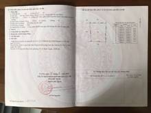 Hình ảnh Thân nhờ anh chị em bán dùm em lô đất trồng cây 2000m² xã Tân Thạnh Đô