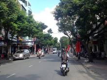 Hình ảnh Bán nhà MT Lam Sơn P 2, Tân Bình.   DT 12.5x25m nở hậu L. Gía 64 Tỷ