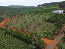 Hình ảnh Cần sang nhượng khu đất nghỉ dưỡng Lộc Ngãi Hill - đã có sổ