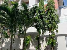 Hình ảnh Bán biệt thự hẻm 8m góc 2 mặt tiền BẠCH ĐẰNG p24 8x20