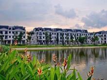 Hình ảnh Biệt thự mặt sông, thiết kế sang trọng tại phân khu mới  Aqua City