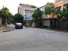 Hình ảnh Gia đình cần thanh khoản gấp mảnh đất view cây xanh khu 31ha Trâu Quỳ.