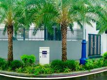 Hình ảnh Nhà phố Precia Riverside Q2 số lượng có hạn 3 căn duy nhất đã có sổ