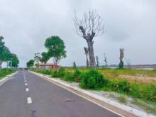 Hình ảnh Đất nền khu du lịch biển Long Hải - Bà Rịa