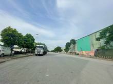 Hình ảnh 3,5 tỷ SỞ HỮU căn nhà 3 tầng cạnh Cầu Bính 40m2 ngang 4m đường 11m