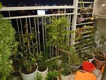 Hình ảnh Cho thuê Trang Chủ MB66.COM / Đăng Ký Tặng 66K Riva Park quận 4