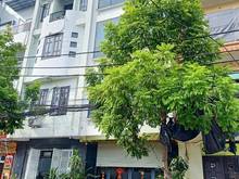 Hình ảnh Mặt phố Nguyễn Trãi, Thanh Xuân, 75m2, giá: 27 tỷ, 4 tầng, mặt tiền: