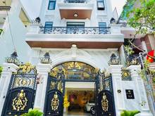Hình ảnh Biệt Thự Châu Âu - Khu Sang đẹp - Đường Diệp Minh Châu - DT: 8 x 18