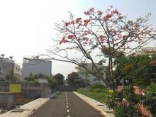 Hình ảnh bán lô đất 140m2 gần chợ An Sương,SHR - Chỉ 1,7 tỷ -FULL Thổ cư