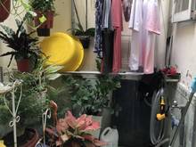 Hình ảnh Bán nhà Quận 8- Hồ Thành Biên - 78m2 giá chỉ 3 tỷ 6