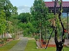 Hình ảnh Chẳng ở đâu xa, ngay tại đây là nơi bình yên mà bạn đã tìm bấy lâu nay