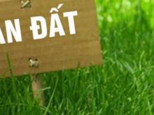 Hình ảnh CƠ HỘI ĐẦU TƯ 4 LÔ ĐẤT 2 MẶT TIỀN XÃ QUỚI SƠN,CHÂU THÀNH, BẾN TRE