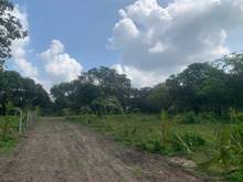 Hình ảnh Đất vườn nghĩ dưỡng view tựa núi, đường đi Đà lạt giá siêu lợi nhuận