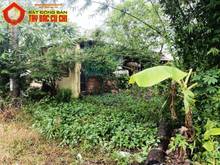 Hình ảnh Bán đất 1/ Tỉnh Lộ 7 - 274m2 - 6x46 - 200m2 thổ cư - xã Trung Lập Hạ