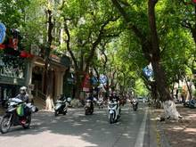 Hình ảnh Bán nhà mặt phố Phan Đình Phùng, Hoàn Kiếm: 52m, 9 tầng, MT;5m. 65 tỷ