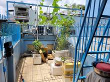 Hình ảnh Cần tiền cho con đi du học bán nhà HXH 62M,3T giá7,5ty ,phan xNam QTB