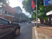 Hình ảnh Đất lô góc mặt phố Trường Chinh Đống Đa 200m MT10m giá 60 tỷ