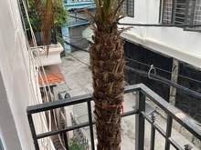 Hình ảnh Bán nhà quận cầu giấy, đường Nguyễn Khánh Toàn, LÔ GÓC 3 THOÁNG, dt 80