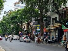 Hình ảnh Siêu Phẩm 8 tầng mặt phố Phủ Doãn, Hoàn Kiếm. Kinh doanh đỉnh cao