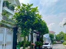 Hình ảnh HOT! Bán ĐẤT KĐT AP - AK Quận 2 - DT: 210m2 ngang 10m - GB: 37 TỶ