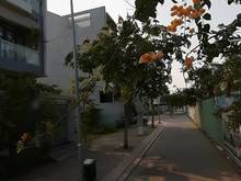 Hình ảnh Duy nhất 2 lô đất 80m2 MT Phan Đăng Lưu, Quận Phú Nhuận, SHR, giá 1tỷ2