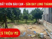 Hình ảnh Bán gấp vườn mít Long Thành đang thu hoạch, DT 1070m2, Chỉ 2.7 tỷ