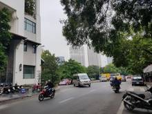 Hình ảnh Bán MT NGUYỄN KHẮC NHU, P Cô Giang, Quận 1.DT 11x30 Giá 181 tỷ