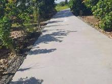 Hình ảnh Bán vườn tặng nhà tại Phú Cường, Định Quán, Đồng Nai giá 915tr
