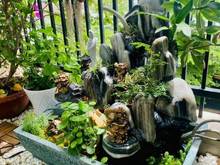 Hình ảnh Cho thuê chung cư cityland 86m,2pn,2wc full nội thất