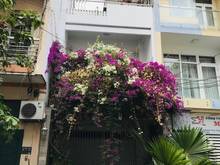 Hình ảnh [ CỰC HIẾM ] Mặt tiền Ba Vân Diện Tích 5m x 12m vị trí đắc địa